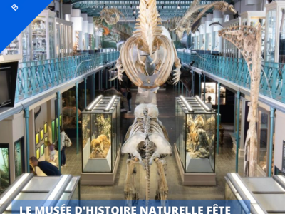 Le musée d’histoire naturelle de Lille fête ses 200 ans